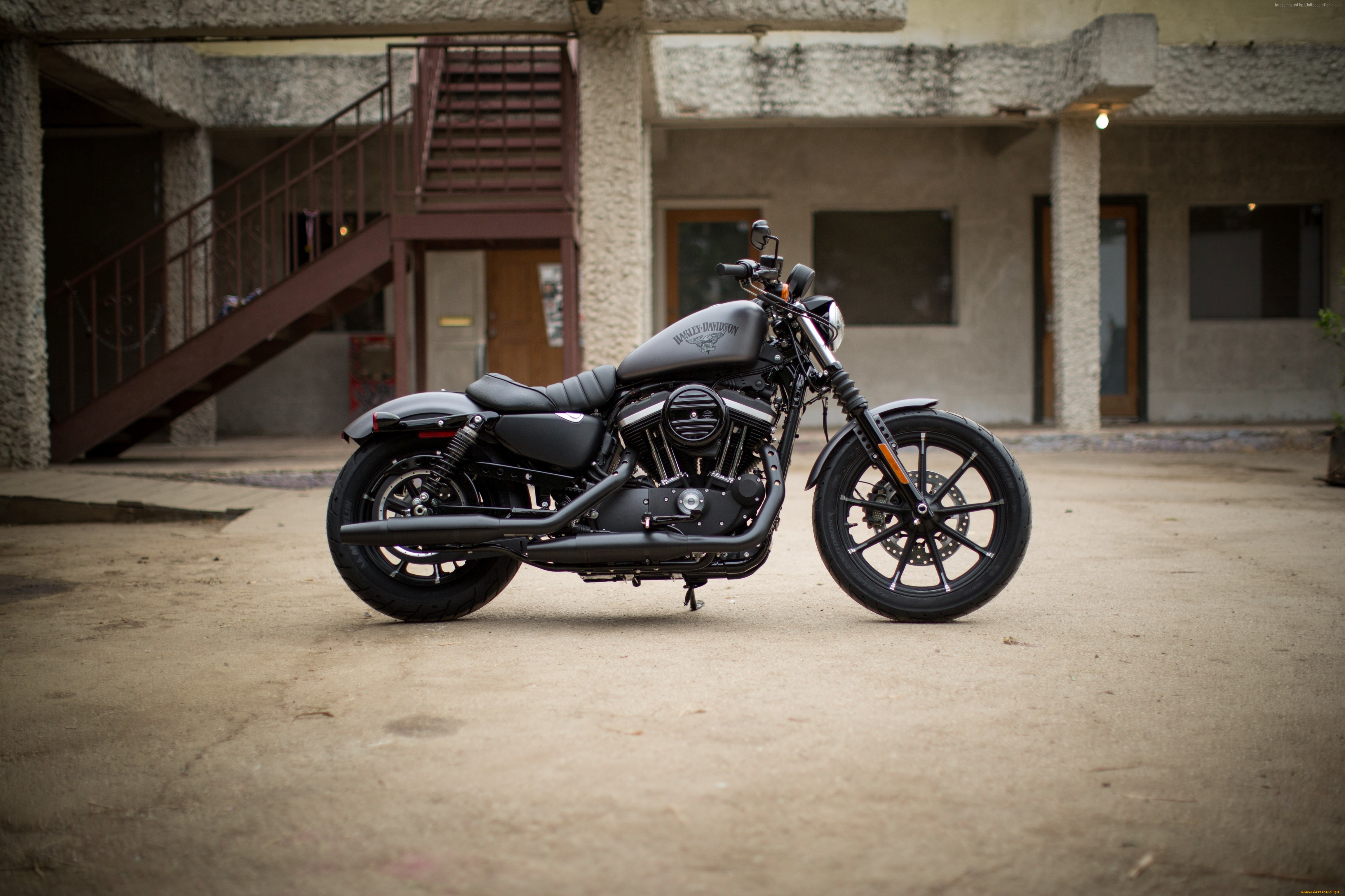 , , harley-davidson, , , 